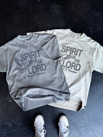 HOLY SPIRIT TEE FADED BLACK