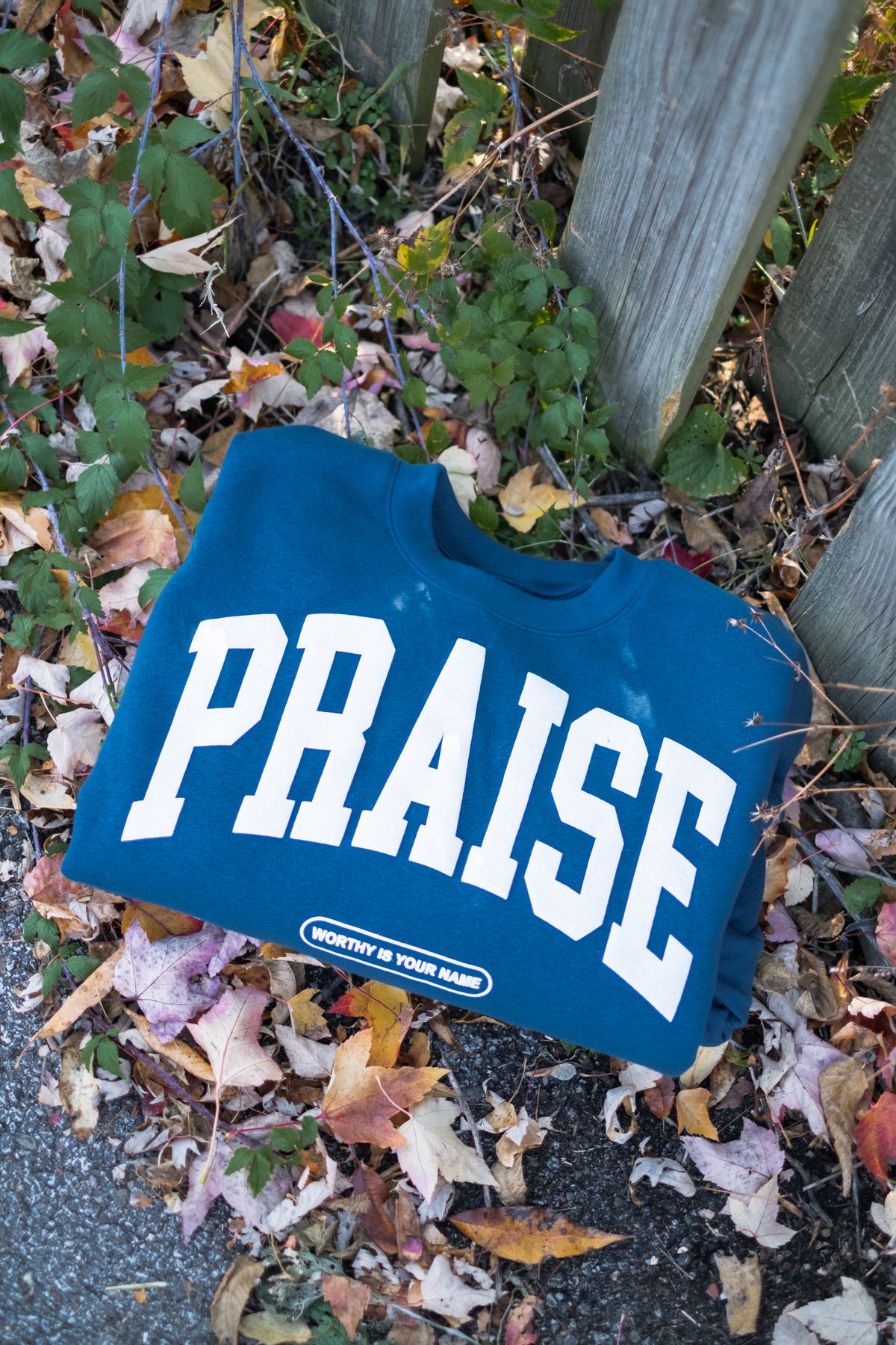 PRAISE CREWNECK